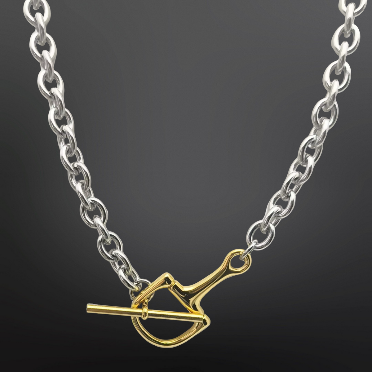 Necklace with a gold clasp on a dark background