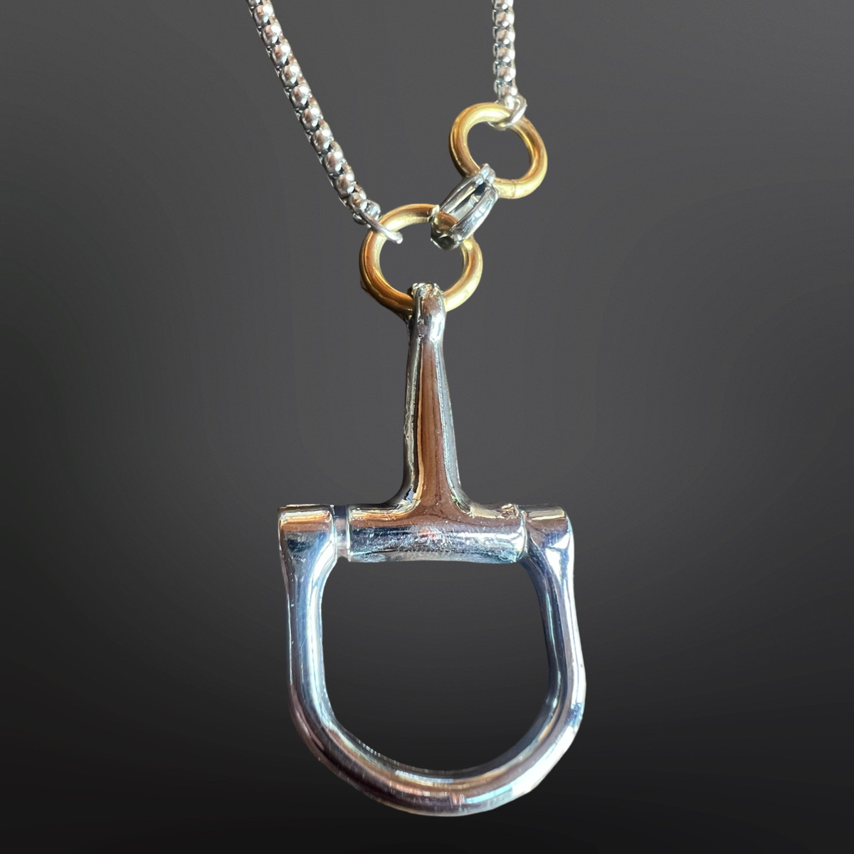 Silver horse bit pendant on a necklace against a dark background