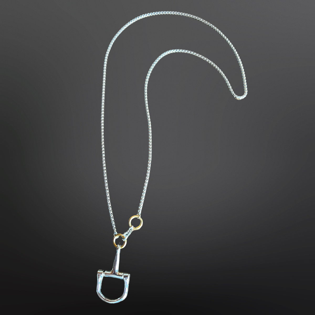 Silver necklace with a horse bit pendant on a dark background
