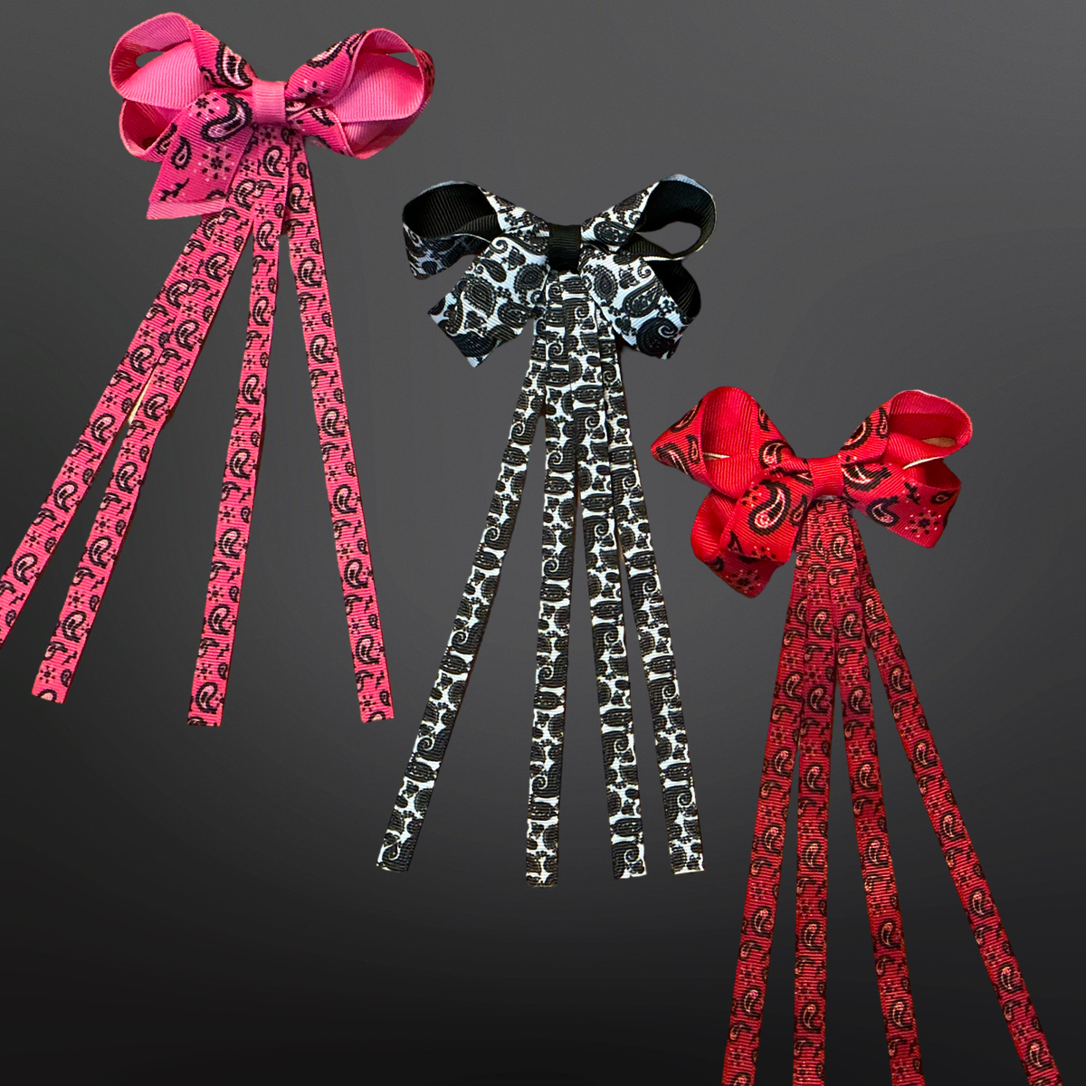 Western Paisley Hair Bow Clip
